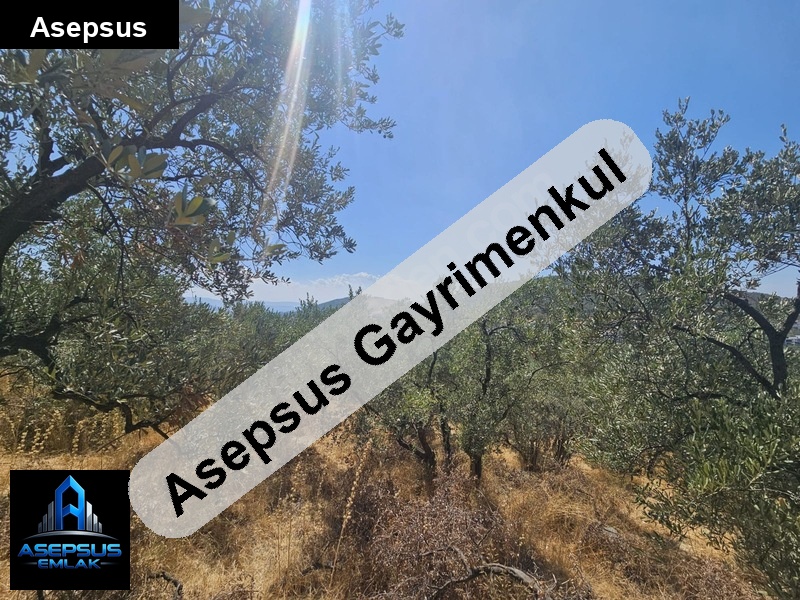 Asepsus Emlak'tan  ocaklar mh. 'sinde satılık arsa