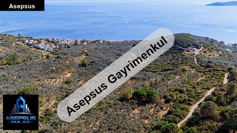 Asepsus Emlak'tan  narlı mh. 'sinde satılık arsa