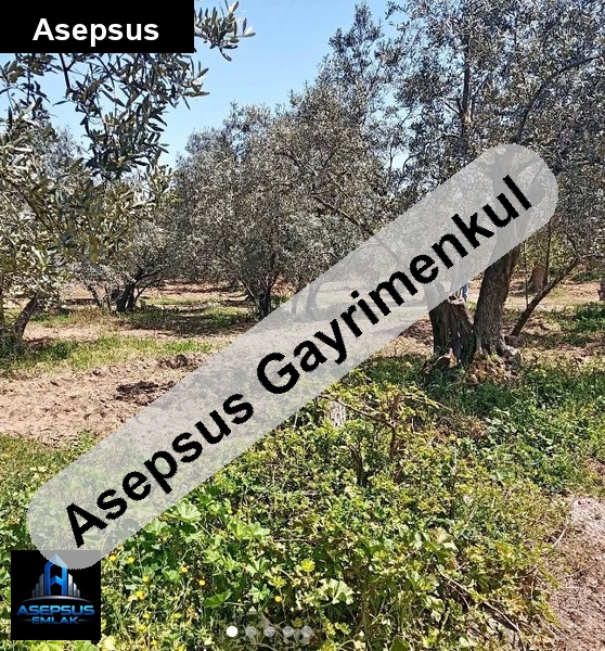 Asepsus Emlak'tan  hamamlı mh. 'sinde satılık arsa