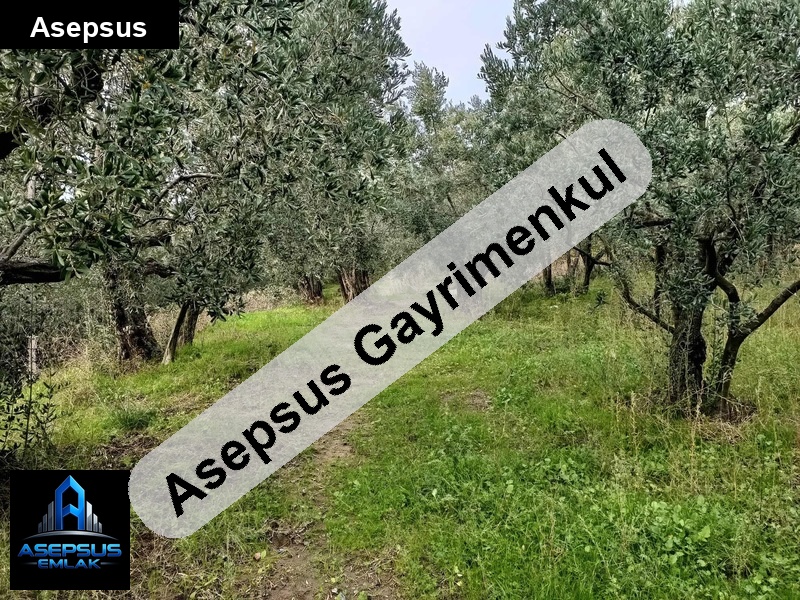 Asepsus Emlak'tan  atatürk mh. 'sinde satılık arsa