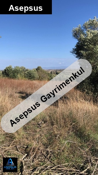Asepsus Emlak'tan  bölceağaç mh. 'sinde satılık arsa