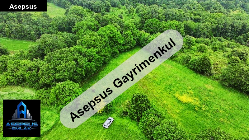 Asepsus Emlak'tan  orhanlar mh. 'sinde satılık arsa