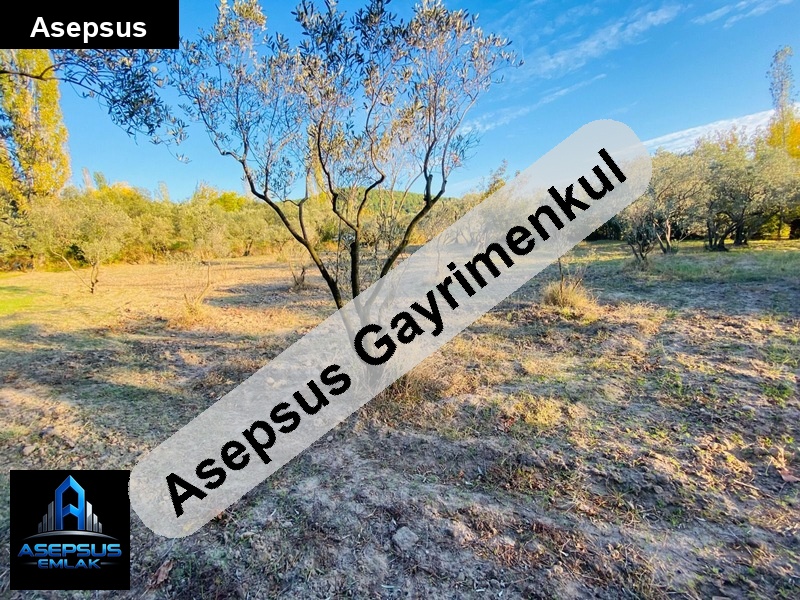 Asepsus Emlak'tan  alaettin mah. 'sinde satılık arsa