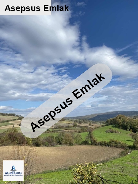 2 katli müstaki̇l ev ve 4000 m2 arsa