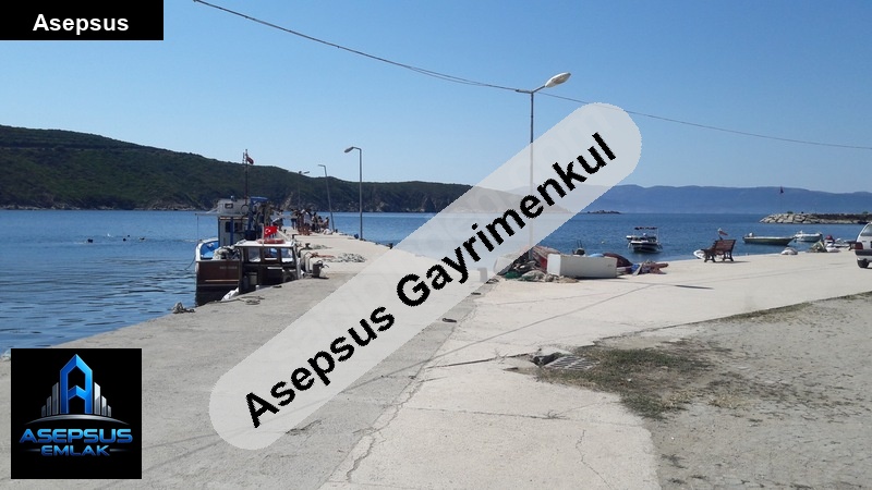 Asepsus Emlak'tan  doğanlar mh. 'sinde satılık arsa