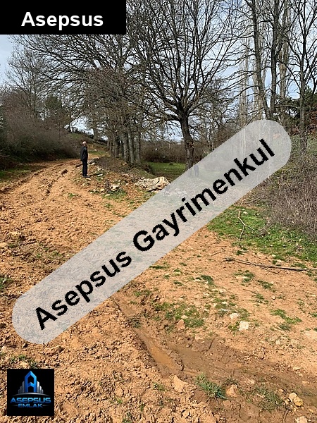 Asepsus Emlak'tan  doğanlar mh. 'sinde satılık arsa
