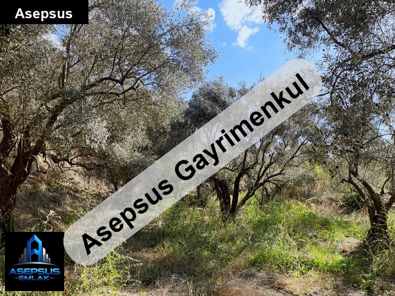 Asepsus Emlak'tan  hamamlı mh. 'sinde satılık arsa