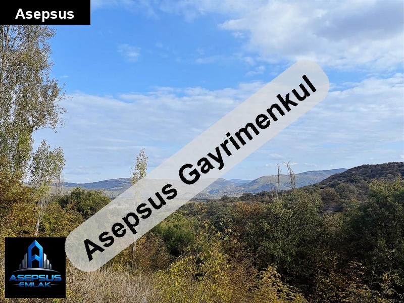 Asepsus Emlak'tan  semizköy mh. 'sinde satılık arsa