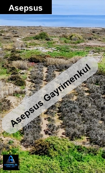 Asepsus Emlak'tan  aşağıyapıcı mh. 'sinde satılık arsa