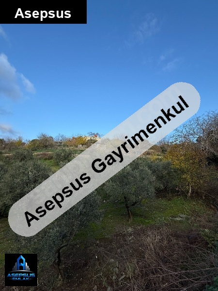 Asepsus Emlak'tan  hamamlı mh. 'sinde satılık arsa