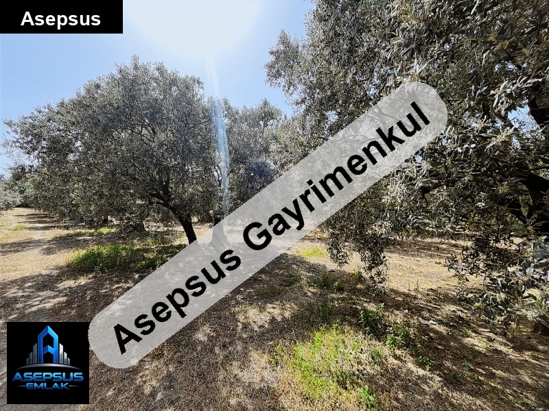 Asepsus Emlak'tan  çeltikçi mh. 'sinde satılık arsa