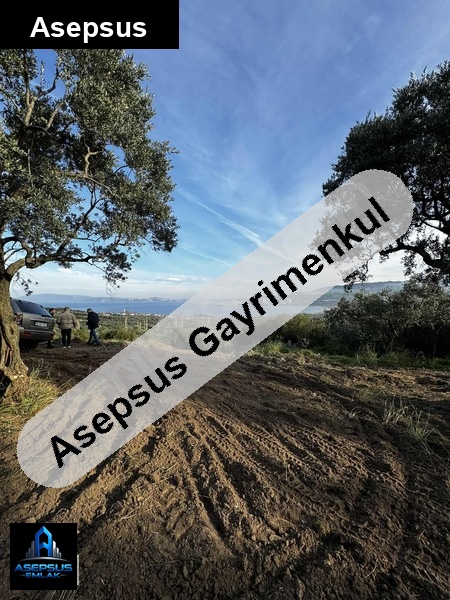 Asepsus Emlak'tan  aşağıyapıcı mh. 'sinde satılık arsa