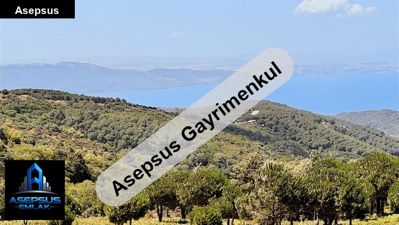 Asepsus Emlak'tan  yukarıyapıcı mh. 'sinde satılık arsa