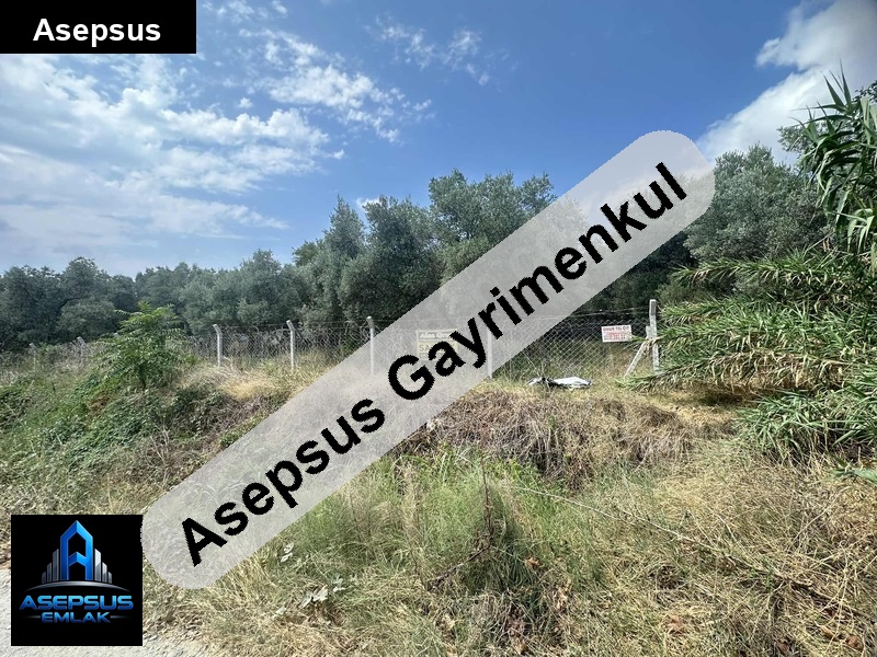 Asepsus Emlak'tan  sahil mah. 'sinde satılık arsa