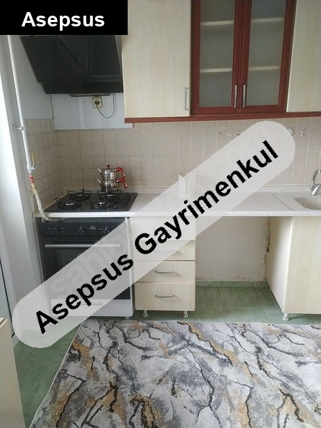 kiralık 1+1
