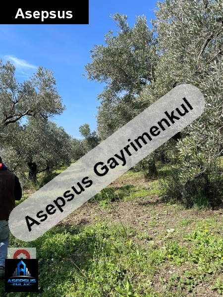 Asepsus Emlak'tan  atatürk mh. 'sinde satılık arsa