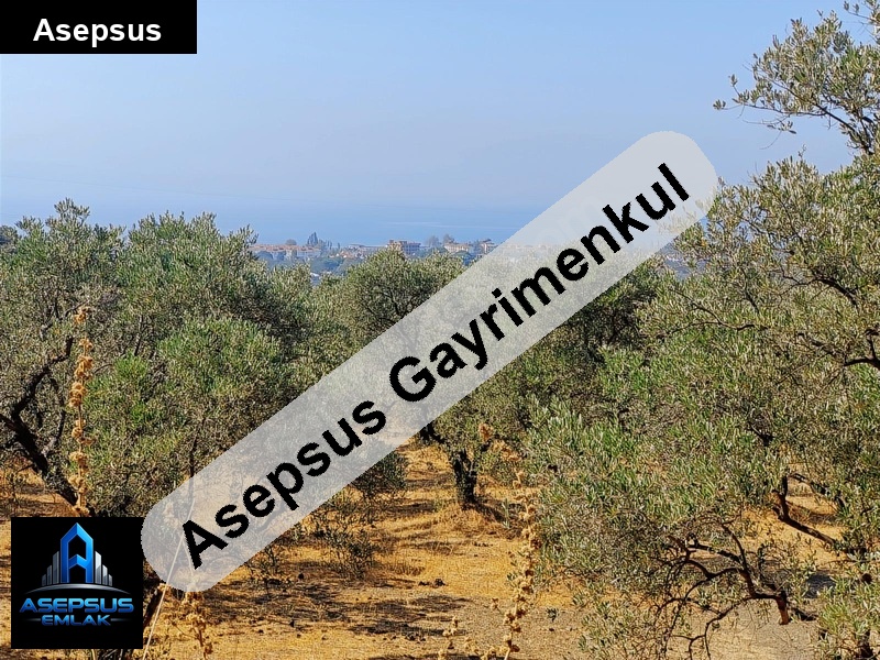 Asepsus Emlak'tan  atatürk mh. 'sinde satılık arsa