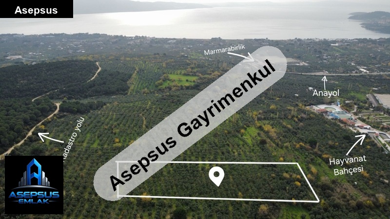 Asepsus Emlak'tan  zeytinli mah. 'sinde satılık arsa