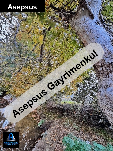 Asepsus Emlak'tan  doğanlar mh. 'sinde satılık arsa