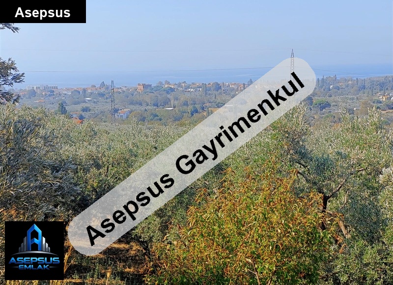 Asepsus Emlak'tan  atatürk mh. 'sinde satılık arsa