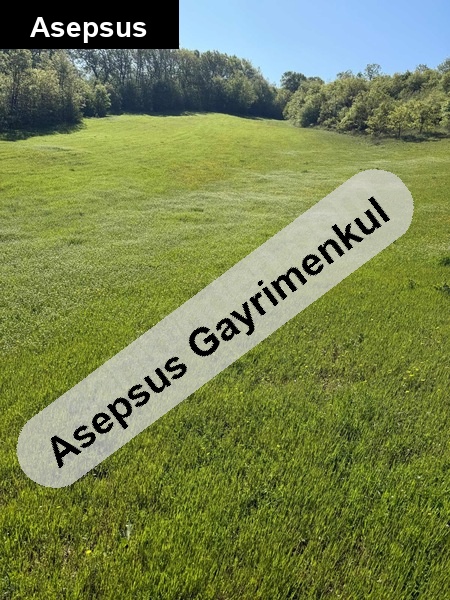 sahi̇bi̇nden i̇lçeye yakin 20 dönüm arsa