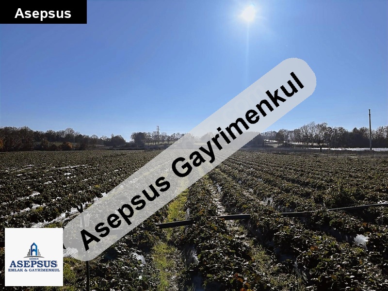 Asepsus Emlak'tan 3+1 kurtlar köyü 'sinde satılık arsa