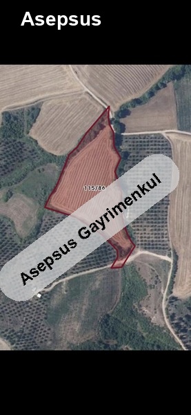 köye yakın kadastro yolu olan satılık tarla