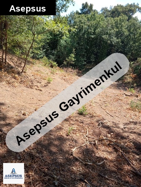 Asepsus Emlak'tan 3+1 çakıroba köyü 'sinde satılık arsa