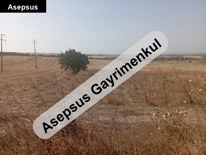 ilıcaboğazı köyünde, köye 600 metre mesafede 15.150 m2 kelepir