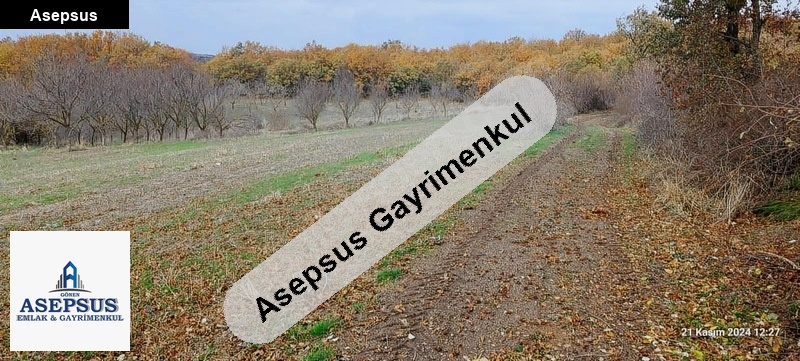 Asepsus Emlak'tan 3+1 sinekçi köyü 'sinde satılık arsa