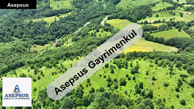 Asepsus Emlak'tan 3+1 taban köyü 'sinde satılık arsa