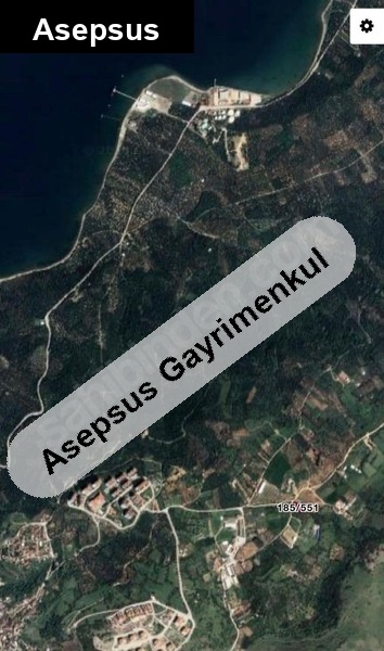 yola sıfır zeytin bağçesi