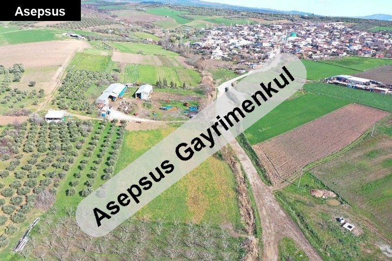 yeni̇yeni̇ce'de köy i̇çi̇ yola cephe satilik arazi̇-zeyti̇nli̇k