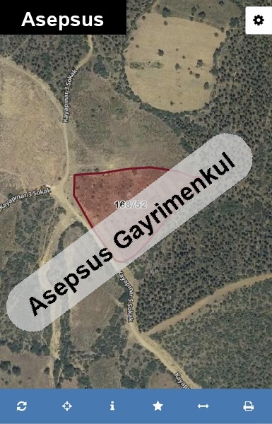 sahi̇bi̇nden aci̇lll satilik 12,5 dönüm tarla!!!