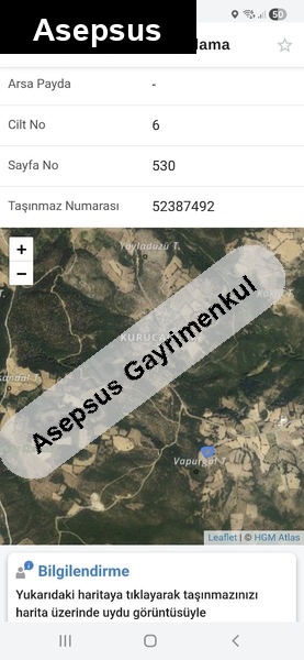 kurucaoluk köyünde tarla