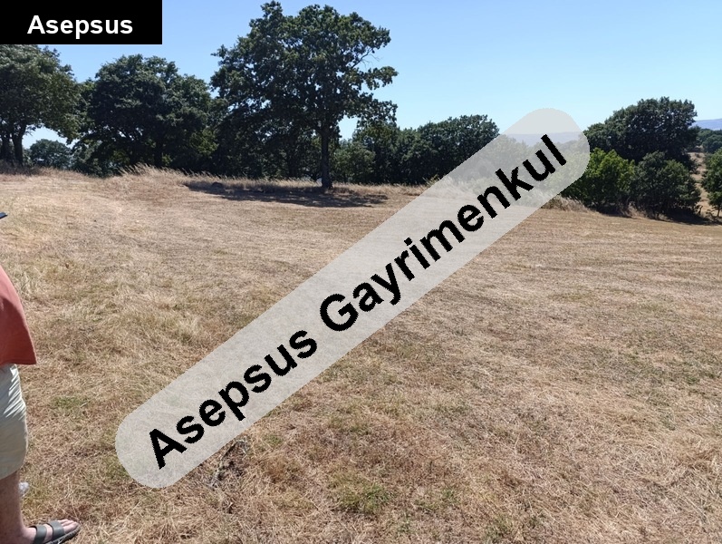 susurluk ekinlik köyünde imar sınırında emsalsiz..