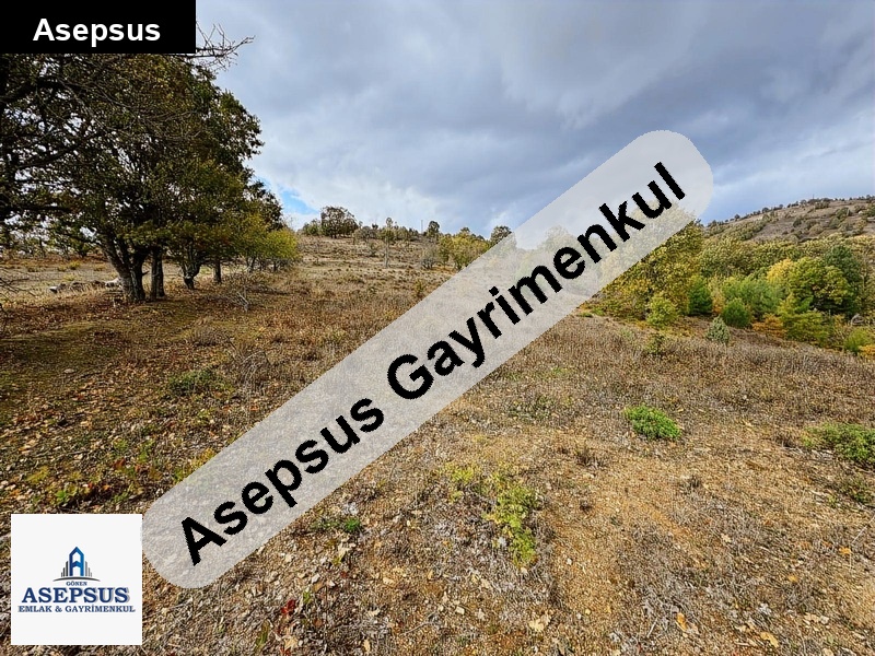 Asepsus Emlak'tan 3+1 karadoru köyü 'sinde satılık arsa