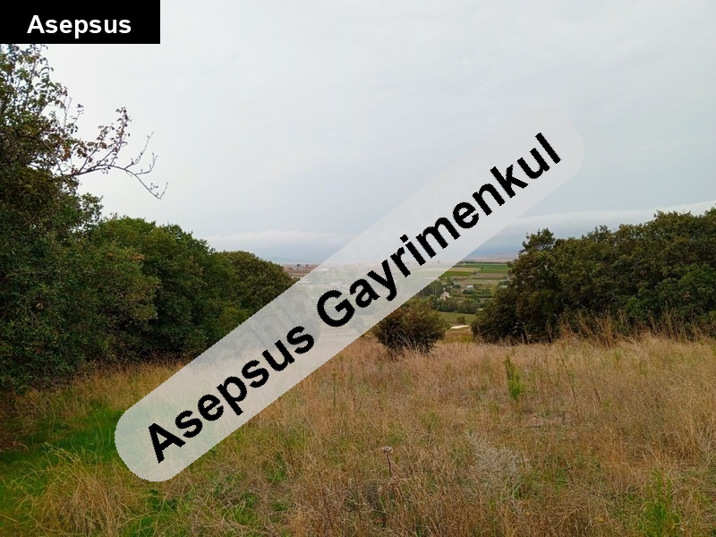 yeni ziraatli köyünde 3.9 dönüm yolu açık tarla, zeytinlik olur