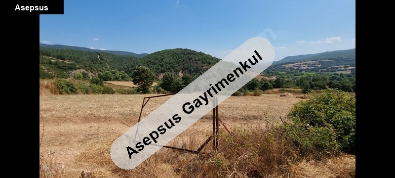 gönen geyi̇kli̇de doğa orman manzarali