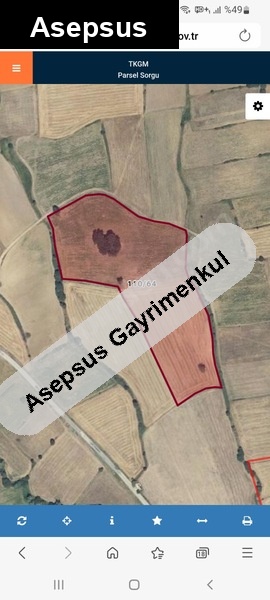 sahi̇bi̇nden satilik tarla...acil ihtiyaç...