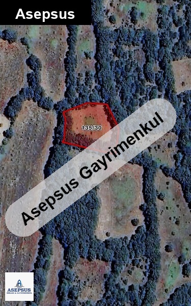 Asepsus Emlak'tan 3+1 örencik köyü 'sinde satılık arsa