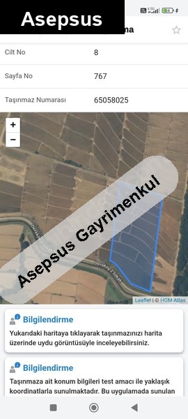 satılık çeltik tarlası