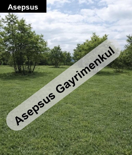 balikesi̇rde 6.662 m² doğayla i̇ç i̇çe yatirimlik tarla