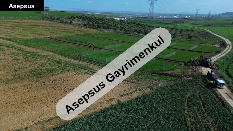 bandırma doğruca 185m2 satılık parseller