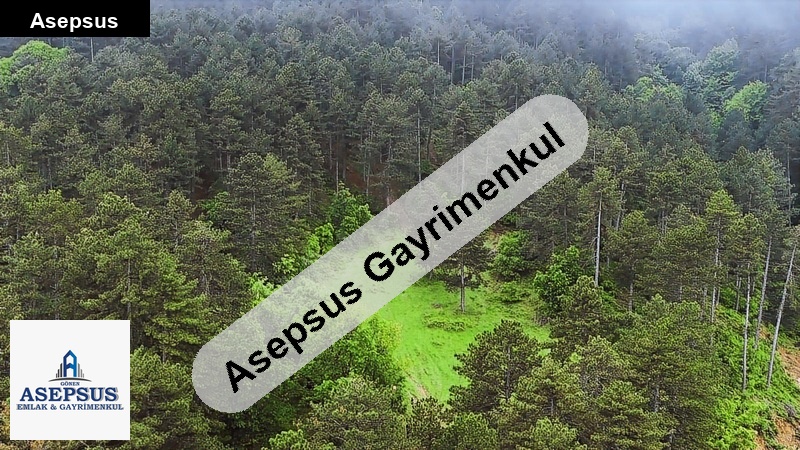 Asepsus Emlak'tan 3+1 eski yenice mah. 'sinde satılık arsa