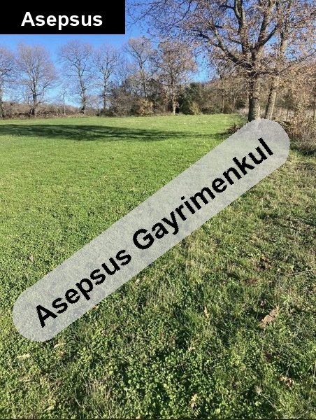 sahibinden acil satılık