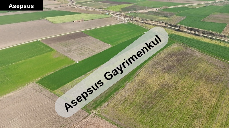 bandırma yeniyenice köyünde 6 dönüm tarla