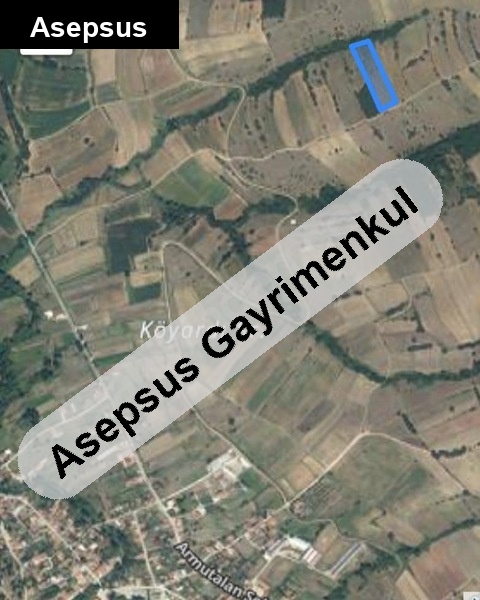 aci̇l satilik tarla