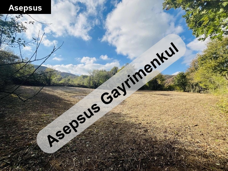 balikesi̇r gönen'de kare şekli̇nde, 1243 m2 tarla