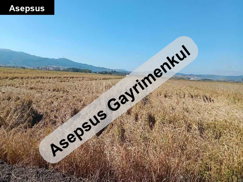 manyas yeni̇köy ovada 4443m2 çelti̇k arazi̇si̇